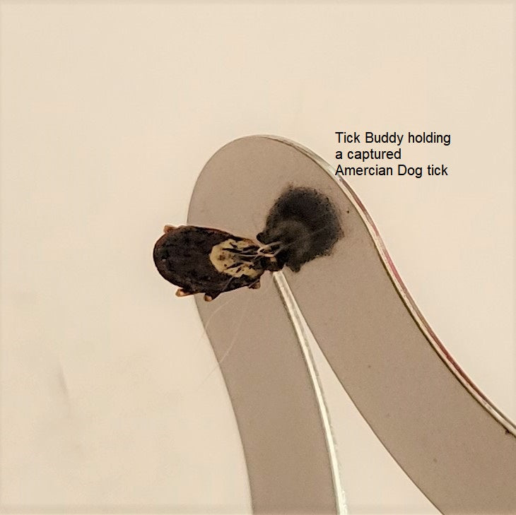 XDistributor - Tick Buddy Stainless Steel Tick Remover Tool - Minimum Order 60