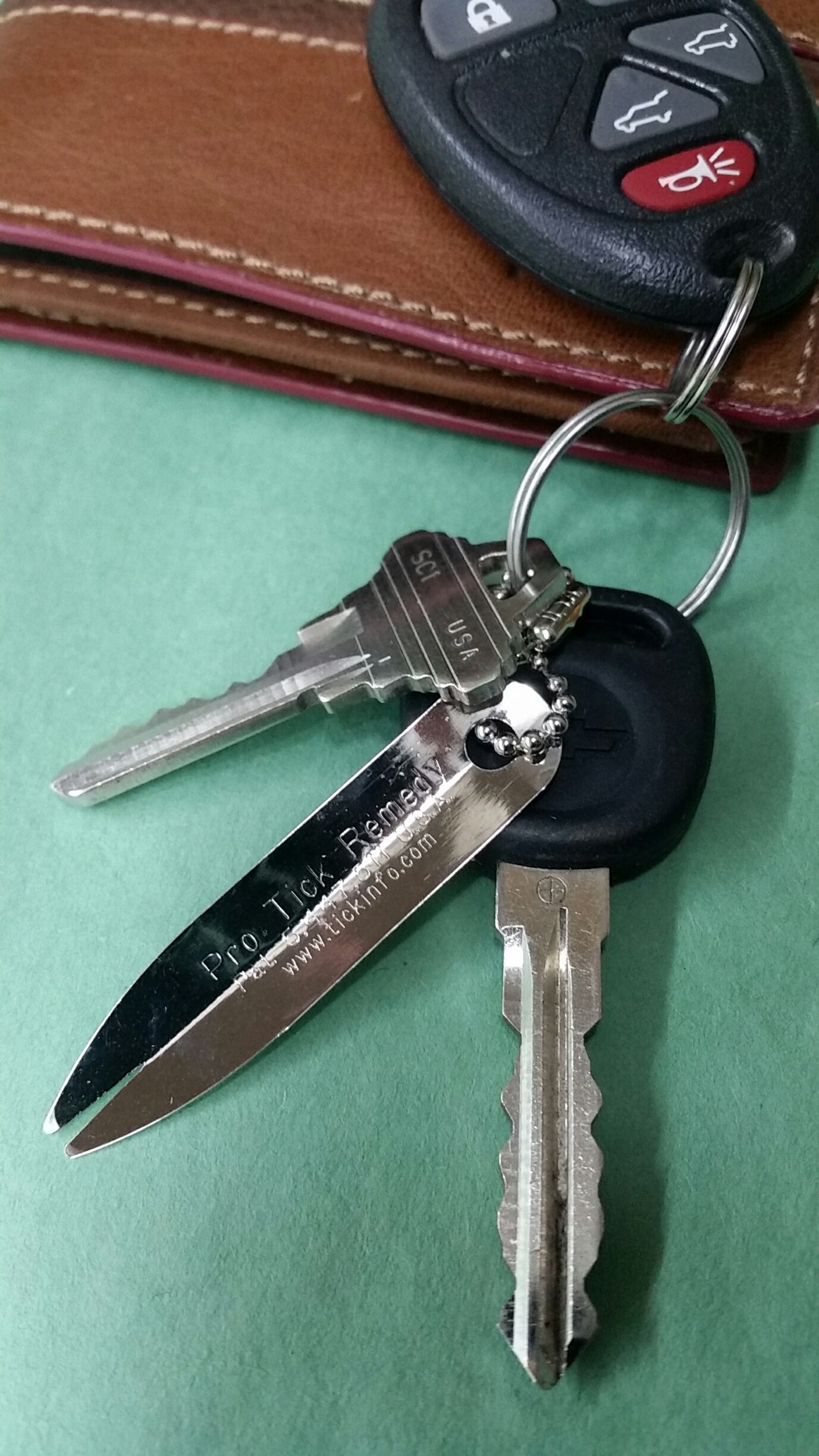 Protick Remedy shown on keyring