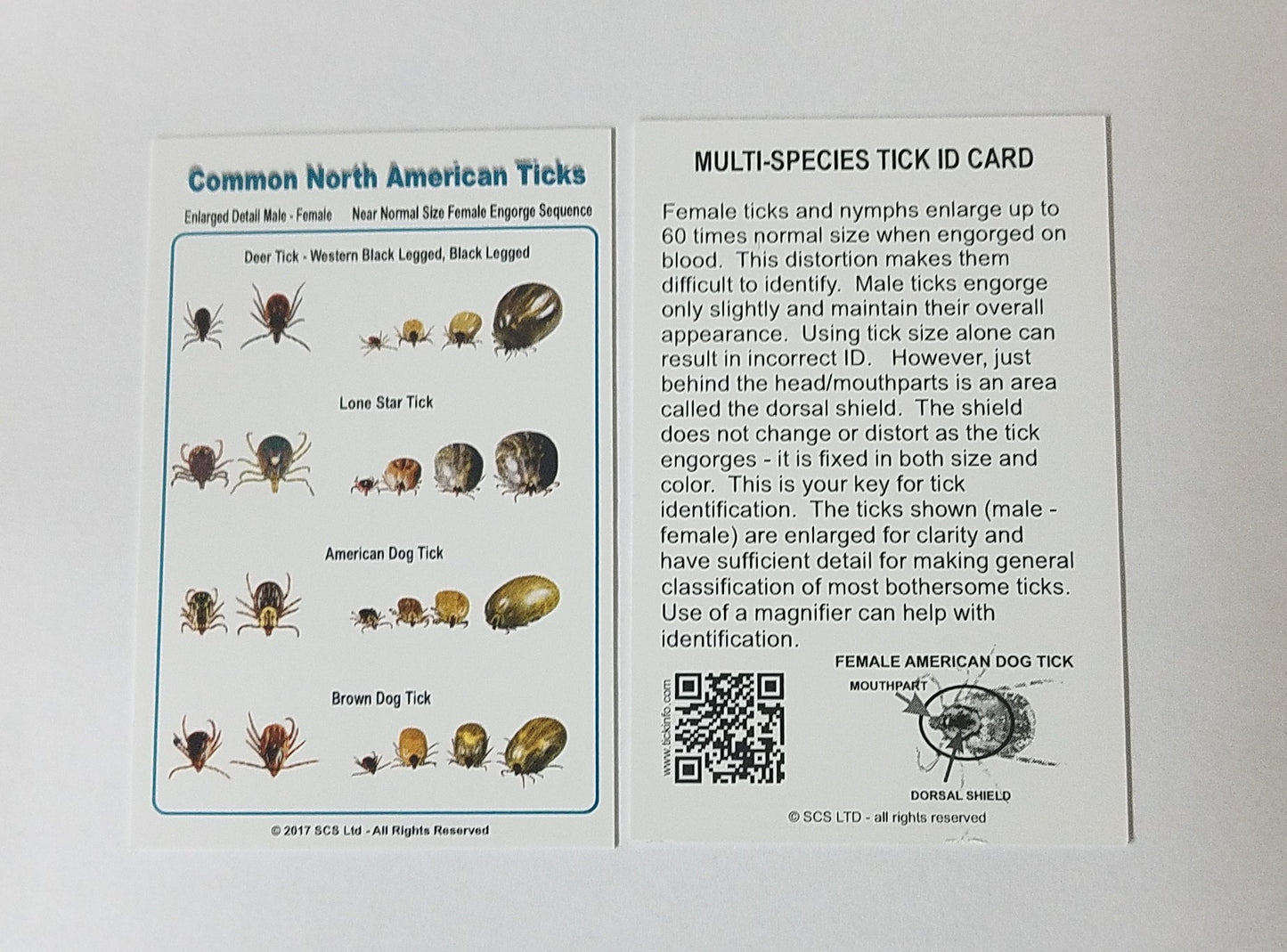 Tick ID Card - Multi-Species Common Ticks - pack of 100