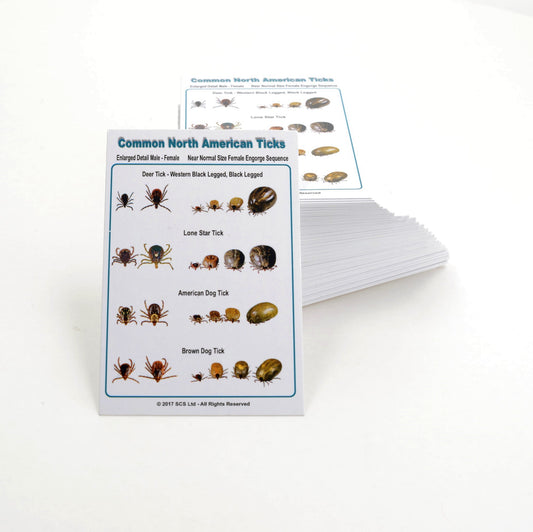 Tick ID Card - Multi-Species Common Ticks - pack of 100